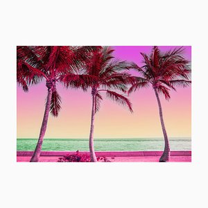 Artur Debat, Photo onirique de la vue colorée des palmiers à Miami, Photographie