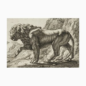 J. Meyer, Pacing Lion, 17ème Siècle, Gravure à l'Eau-Forte