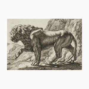 J. Meyer, Pacing Lion, 17th-Century, Etching