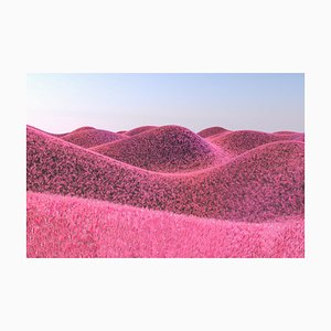 Artur Debat, paisaje surrealista con colinas peludas y color rosa, fotografía