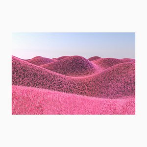 Artur Debat, Surreal Render Landscape with Furry Hills e color rosa, Fotografia