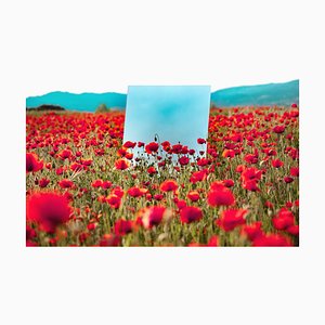 Artur Debat, Mirror Reflecting Blue Sky Between Red Poppies Field During Spring in Spain, Photograph