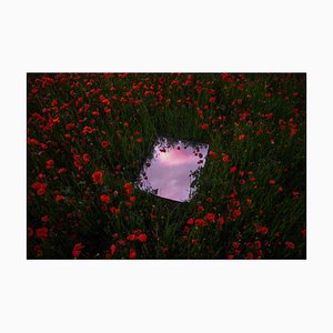 Artur Debat, Espejo que refleja el cielo del atardecer entre el campo de amapolas rojas durante la primavera en España, Fotografía