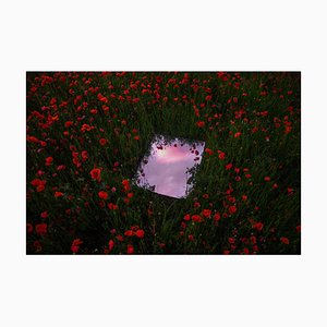 Artur Debat, Spiegel, der den Sonnenuntergang-Himmel zwischen rotem Mohnblumen-Feld während des Frühlings in Spanien, Fotografie reflektiert