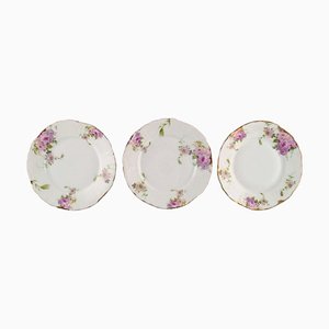 Iris Plates in Hand-Painted Porcelain with Flowers from Rosenthal, Germany, Set of 3