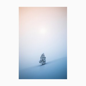 Borchee, albero di Natale, carta fotografica