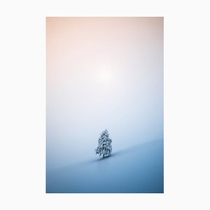 Borchee, árbol de Navidad, papel fotográfico