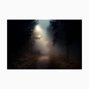 Baac3nes, Chemin de Terre dans une Forêt Sombre et Brumeuse, Papier Photographique