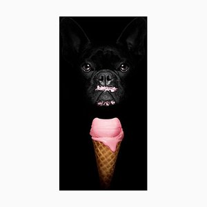 Damedeeso, Hund mit Eis, Fotopapier