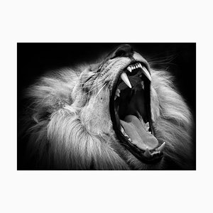 Denisapro, león blanco y negro con la boca abierta, papel fotográfico
