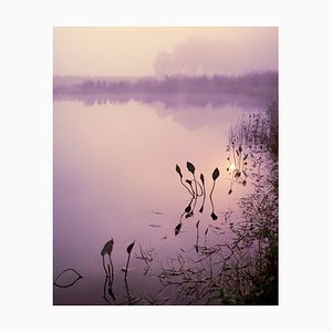 Eschcollection, Magical Sunrise at Lake in the South of the Netherlands, Papier Photographique