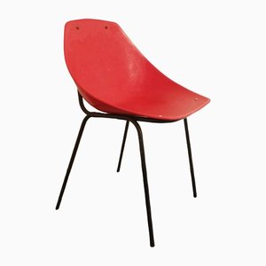 Coquillage Chair by Pierre Guariche for Meurop, 1960s