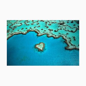 Grant Faint, Australia, Barrera de coral, Papel fotográfico