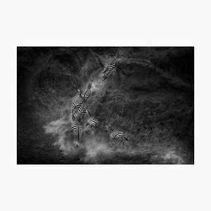 Khaichuin Sim, Herd of Zebras Running, Photographic Paper