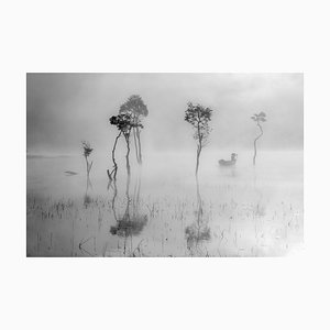 Khanh Bui, Beauty Flooded Forests Reflection on the Mist Lake, Photographic Paper