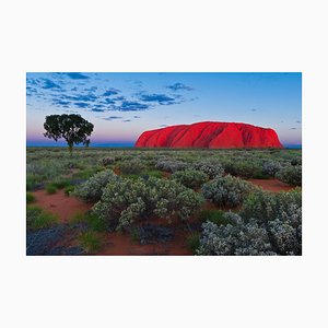 Marc Dozier, Ayers Rock ou Uluru, Papier Photographique