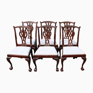Mahogany Dining Chairs With Pop Out Seats, 1960s, Set of 6