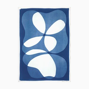 Haricots Étagés, 2022, Cyanotype