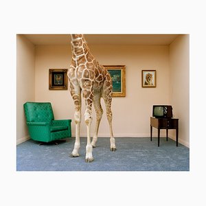 Matthias Clamer, Giraffe in Living Room, Low Section, Fotopapier