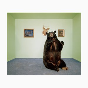 Matthias Clamer, oso negro sentado sobre una alfombra en el salón, papel fotográfico