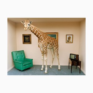 Matthias Clamer, Giraffa in salotto, carta fotografica