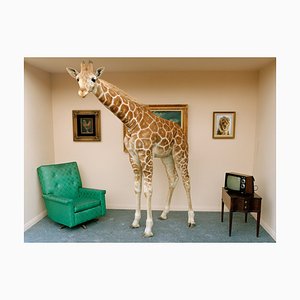 Matthias Clamer, Giraffe in Living Room, Fotopapier