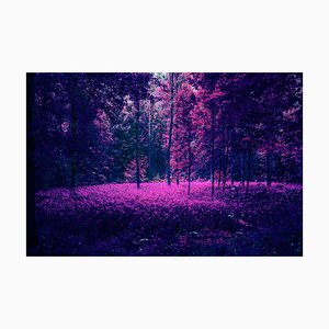 Maximages, Natur-surrealer Wald pflanzt abstraktes Konzept-Hintergrund, Fotopapier