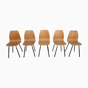 Mid-Century Plywood Chairs, 1960s, Set of 5