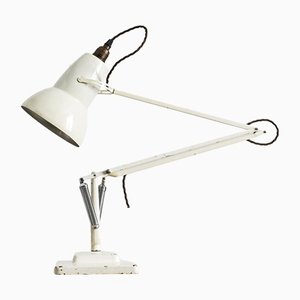 Anglepoise Lamp from Herbert Terry & Sons