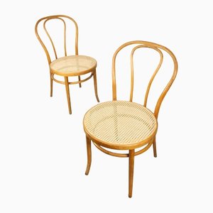 No. 18 Wide Chairs by Michael Thonet, Set of 2