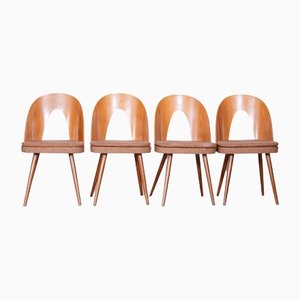 Mid-Century Modern Chairs by Antonín Šuman, Czechia, 1950s, Set of 4