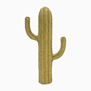 Kaktus in Esparto Gras