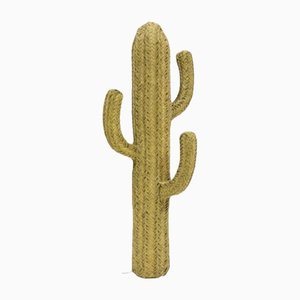 Cactus in Esparto Grass