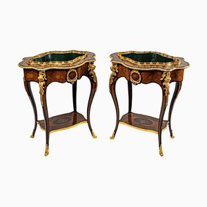 19th Century Jardinière Side Tables, Set of 2