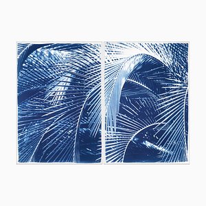 Lush Palm Bushes, 2020, Cyanotype