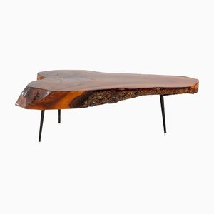 Hand-Crafted Lacquered Log Coffee Table