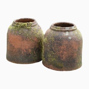 Matching Antique Kale Forcers, Set of 2