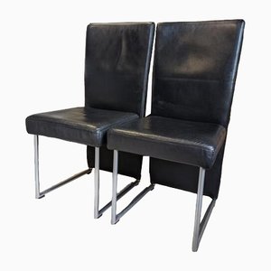 Dining Chairs by Rolf Benz, Set of 8