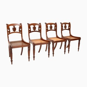 Antique William IV Dining Chairs, Set of 4