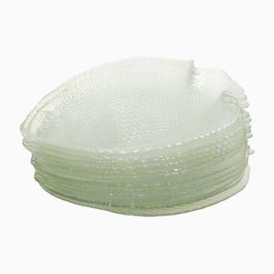 Glass Fish Plates by Arcoroc Arc, 1970s, Set of 12
