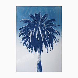 Marrakesch Majorelle, 2019, Cyanotype auf Aquarellpapier