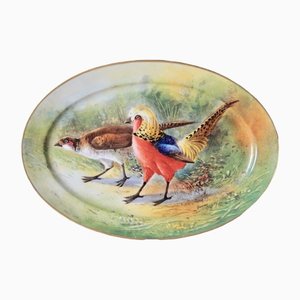 Fuente de servicio antigua ovalada de porcelana pintada a mano con pájaros cazadores de Limoges