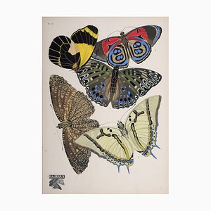 Emile Allain Seguy, Les Papillons, Plate # 12, 1925, Original Lithograph/Stencil in Colors on Wove Paper