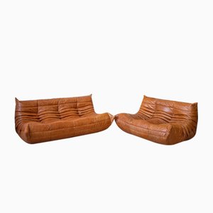 Dubai Pine Leather Togo 2 & 3-Seater Sofa Set by Michel Ducaroy for Ligne Roset, 1970s, Set of 2