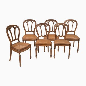 Französische Stühle aus massivem Nussholz, 19. Jh., 6er Set