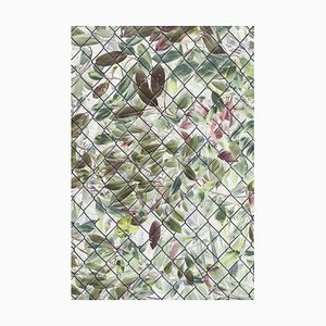 Imágenes de menta, imagen invertida de Laurel Bush y hojas detrás de la valla de malla, papel fotográfico