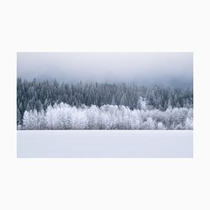 Nate Hovee, Snow-Covered Winter Landscape, Fotopapier