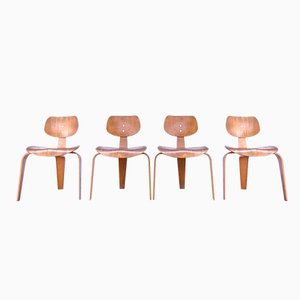 German SE 42 Dining Chairs by Egon Eiermann for Wilde & Spieth, 1949, Set of 4