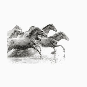 Tunart, Mandria di cavalli selvaggi che corrono nell'acqua, carta fotografica