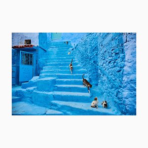 Tuul & Bruno Morandi, Marruecos, Chefchaouen Town, The Blue City, Street Cat, Papel fotográfico
